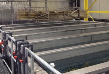 Aluminium Processing Plant